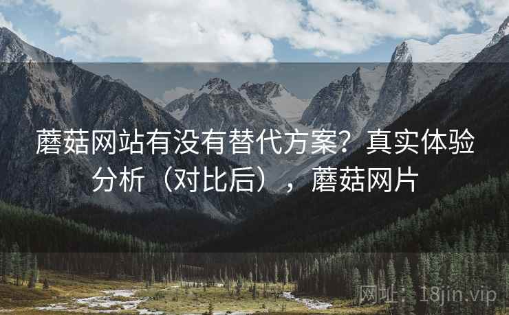 蘑菇网站有没有替代方案？真实体验分析（对比后），蘑菇网片