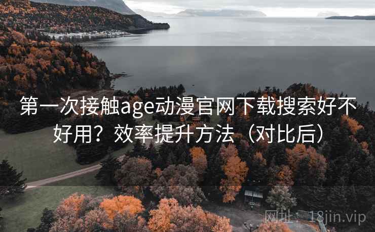 第一次接触age动漫官网下载搜索好不好用？效率提升方法（对比后）