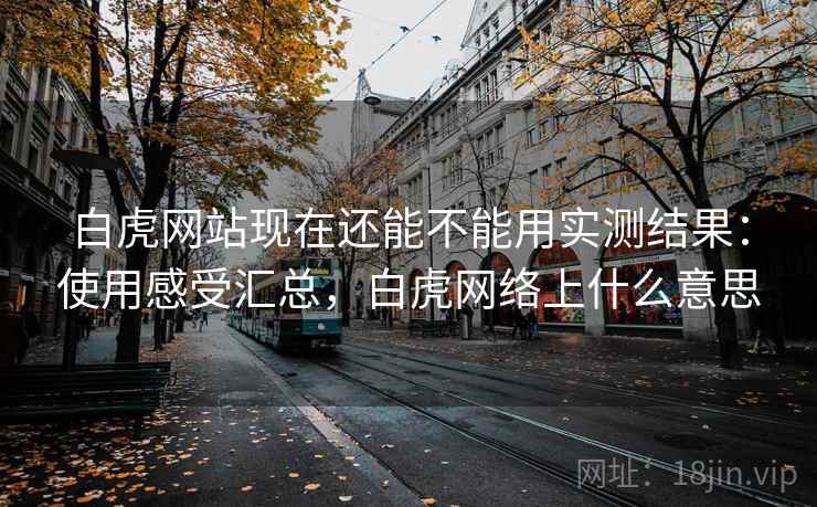 白虎网站现在还能不能用实测结果：使用感受汇总，白虎网络上什么意思