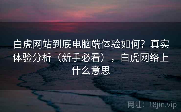 白虎网站到底电脑端体验如何？真实体验分析（新手必看），白虎网络上什么意思