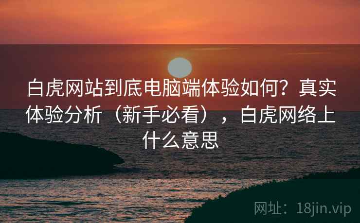 白虎网站到底电脑端体验如何？真实体验分析（新手必看），白虎网络上什么意思