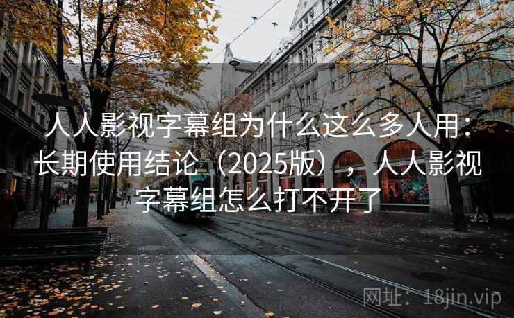 人人影视字幕组为什么这么多人用：长期使用结论（2025版），人人影视字幕组怎么打不开了