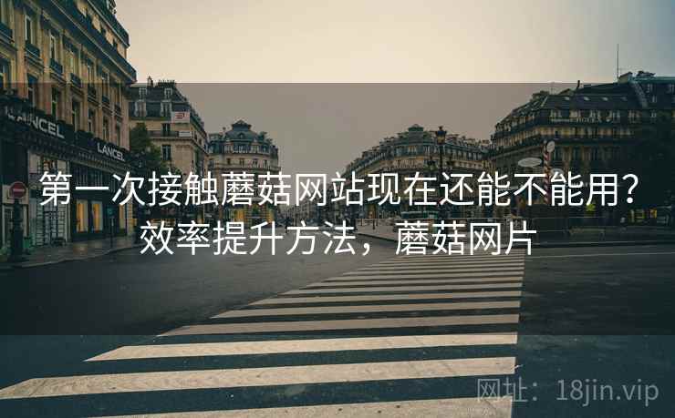 第一次接触蘑菇网站现在还能不能用？效率提升方法，蘑菇网片