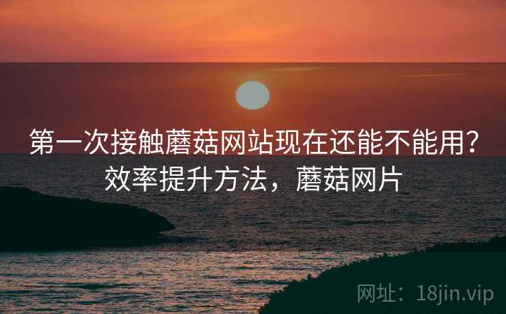 第一次接触蘑菇网站现在还能不能用？效率提升方法，蘑菇网片