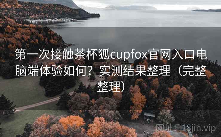 第一次接触茶杯狐cupfox官网入口电脑端体验如何？实测结果整理（完整整理）